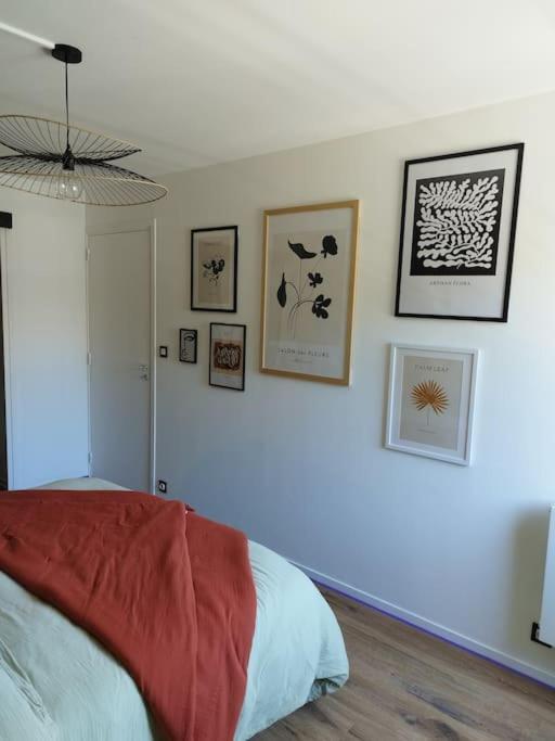 Appartement Au Coeur De Paimpol Exterior foto